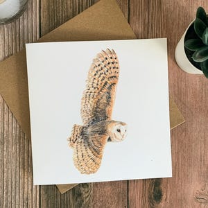 Barn Owl, Bird  – Greetings Card