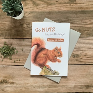 Squirrel, funny birthday card