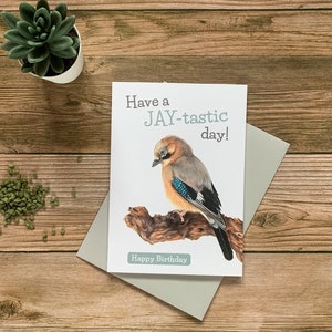 Jay, Bird Birthday Card