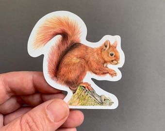 Squirrel – Vinyl Woodland Animal Sticker