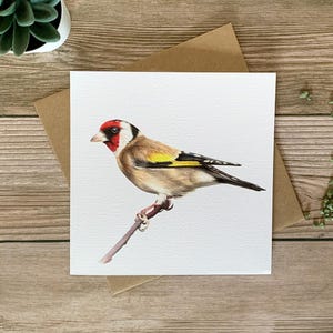 Goldfinch – Garden Bird, Coloured Penicl Art Greeting Card