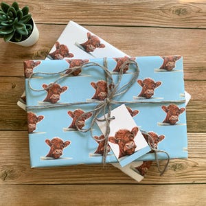 Cow Gift Wrapping Paper – Shorthorn, Farm Animal Gift Wrap