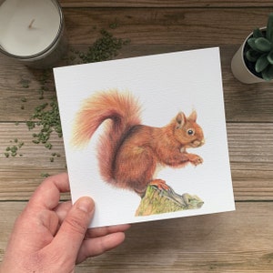 Red Squirrel Card – Woodland Animal Art Card