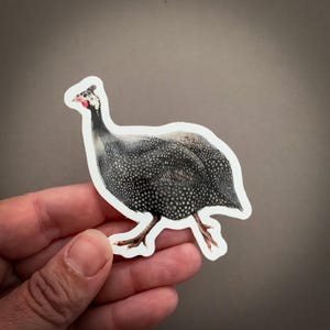 Guinea Fowl – Vinyl Bird Sticker