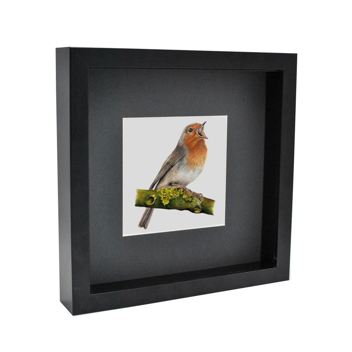 Bird Print Robin Box Framed animal art | Etsy