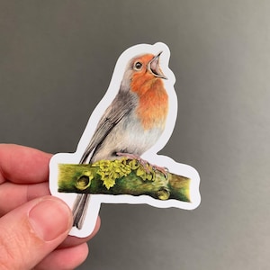 Robin Bird – Vinyl Sticker