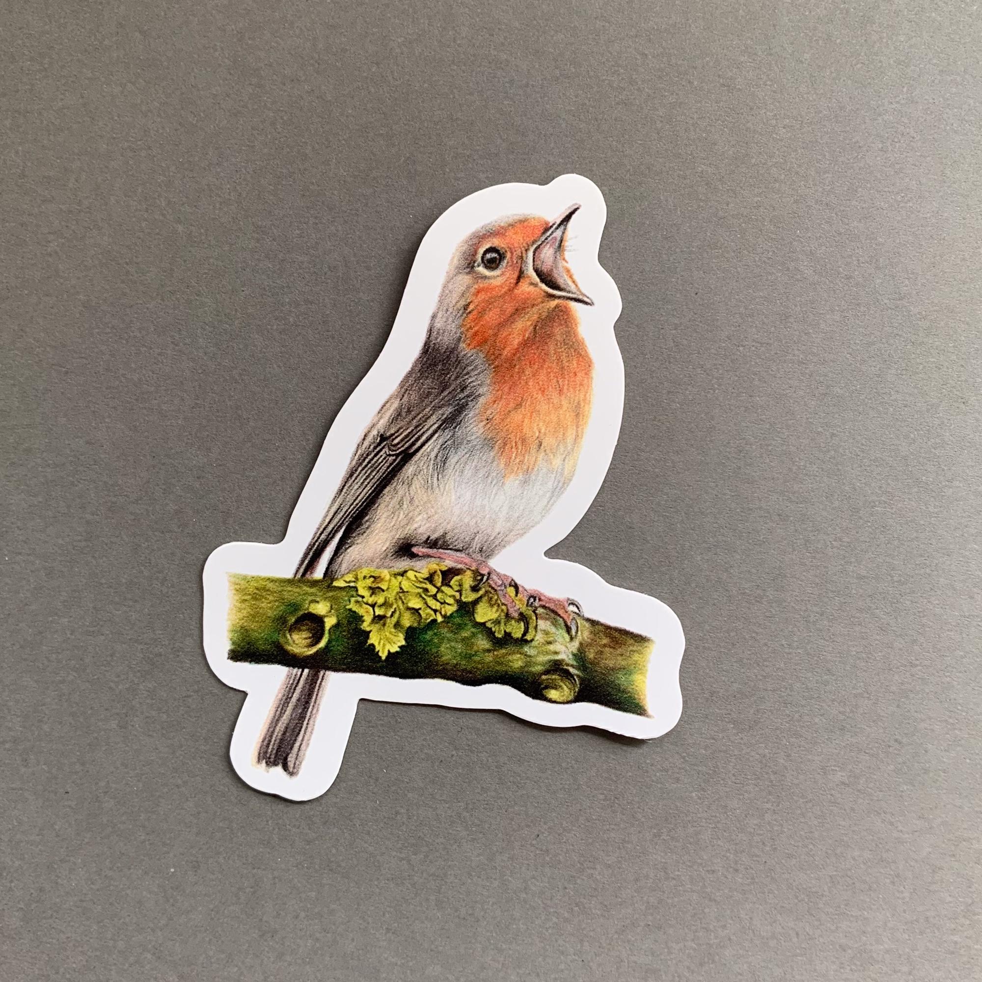 Robin Bird – Vinyl Sticker - Etsy