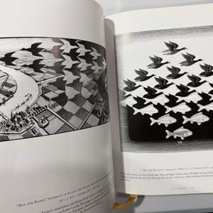May include: A book spread with two black and white illustrations. One shows birds morphing into fish, the other a landscape with birds transforming into land. The artwork is detailed and surreal, with a unique perspective.