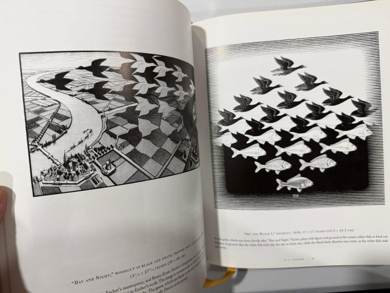 May include: A book spread with two black and white illustrations. One shows birds morphing into fish, the other a landscape with birds transforming into land. The artwork is detailed and surreal, with a unique perspective.