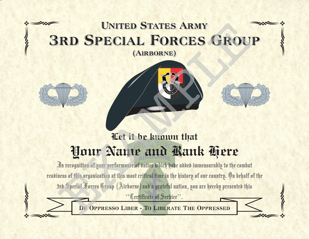 3rd Special Forces Group (abn/badge), 8.5