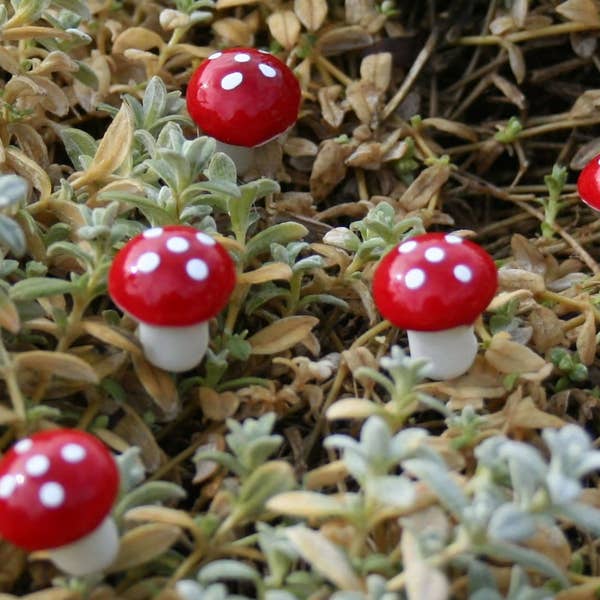 10 Fairy garden mushrooms terrarium Tiny Mushroom Fairy garden INDOOR use only terrarium mushroom decorations with wire pick miniature