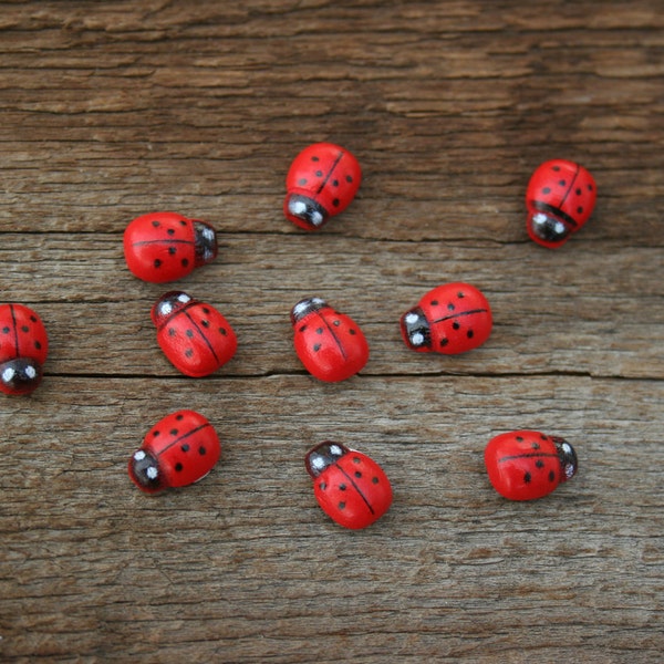 10 pc Fairy Garden Ladybugs 50 bulk red wood mini bug  fairy garden decoration adhesive back terrarium decor miniature Lady bugs woodland