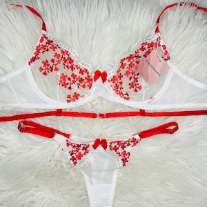Red Embroidery Floral Lace Bra & Panty Lingerie Set, Gift for Women