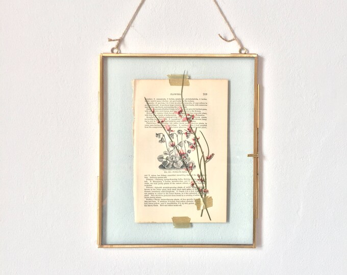 Large Hanging Glass Specimen Frame Pink Pressed Flowers Botanical Decor