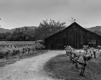 Dry Creek Valley Vineyard Barn Print | Sonoma Wine Country Black and White Photography | Rural Winery Wall Art | Wine Country Decor Gift