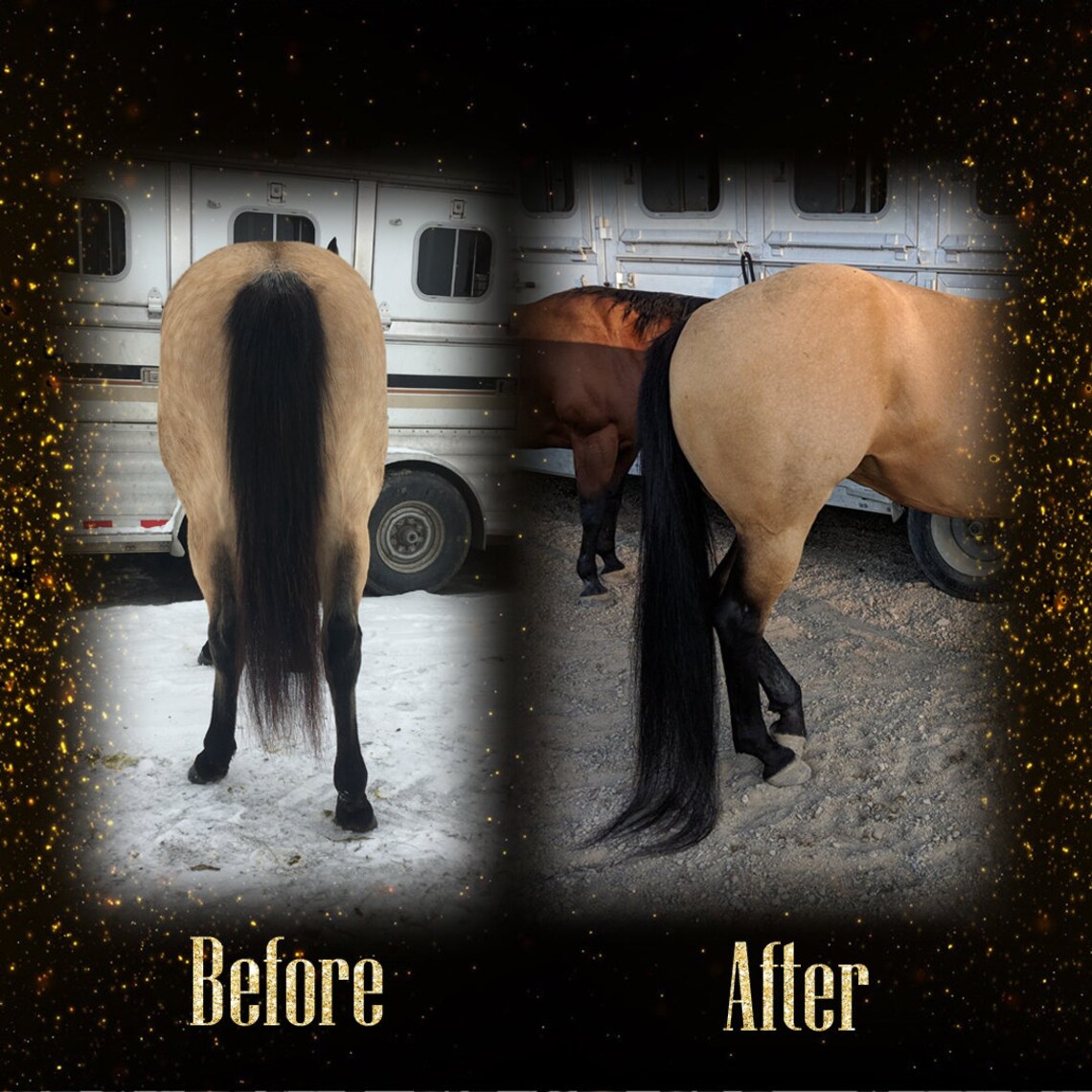 The Tail Boot Tail Bag for Horses Etsy