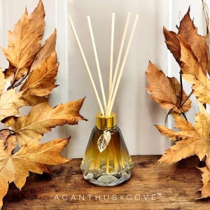 May include: A glass diffuser bottle with a gold cap and leaf charm, filled with a golden liquid and reeds. The bottle sits on a wooden surface, surrounded by autumn leaves. The text "ACANTHUS COVE" is at the bottom.