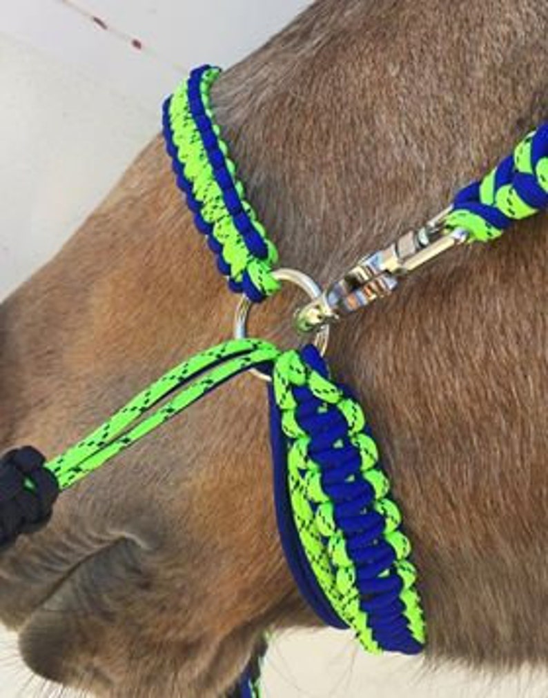 Side Pull Bitless Noseband Bridle Custom Colors Etsy Denmark