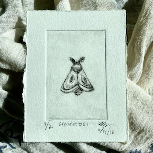 Specimen 051, Intaglio Print