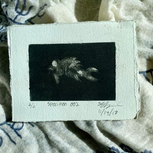 Specimen 002, Intaglio Print
