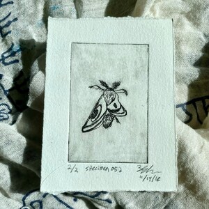 Specimen 052, Intaglio Print