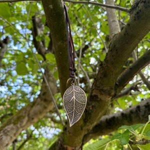 Può includere: Una collana con un ciondolo a forma di foglia dorata con un designo dettagliato, appesa a un cordino di cuoio marrone su uno sfondo di foglie verdi.