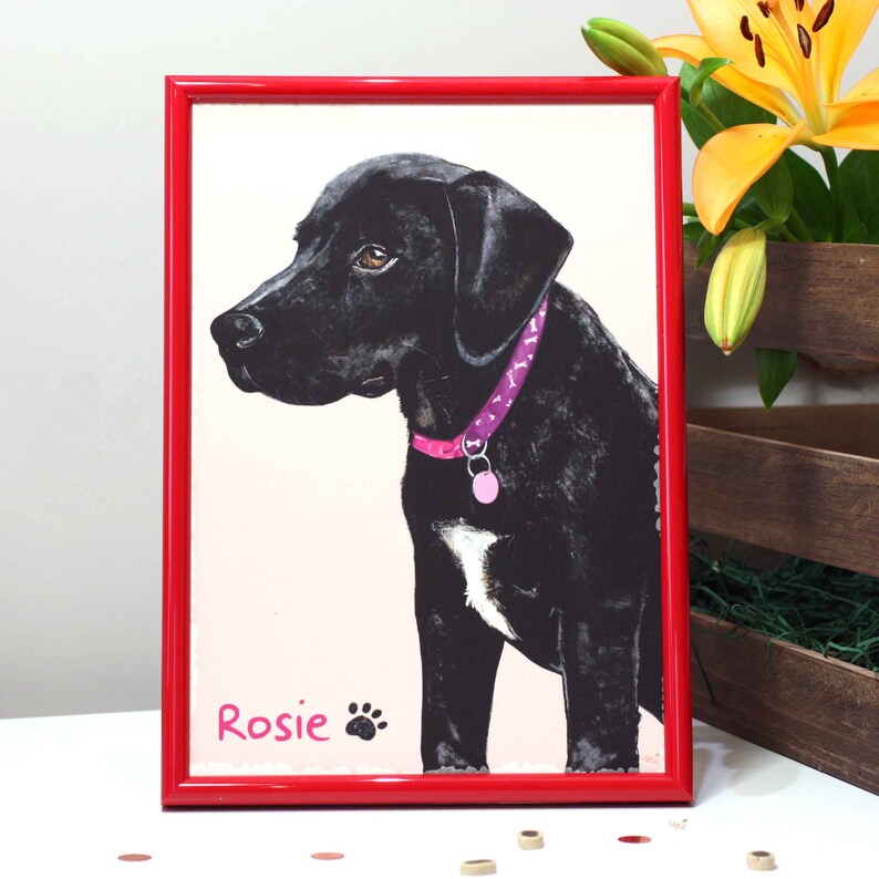 Personalised 'rosie' Dog Art Print / Black Springador Illustration ...