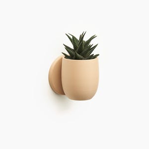 Op de afbeelding: Een lichtbruine keramische wandpot met een ronde basis en een afgeronde, iets bredere bovenkant. Een kleine succulent met donkergroene bladeren groeit in de pot.