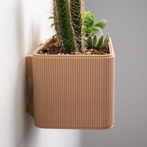 Può includere: Una fioriera beige rettangolare da parete con dettagli a coste verticali. La fioriera contiene un cactus e diverse piante grasse, piantate nel terreno. La fioriera è fissata al muro con due staffe.