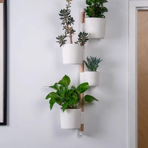 Fioriera da parete Rail / Coltivazione di piante da interno / Altezza regolabile / Vaschetta raccogli gocce / Decorazione ecologica