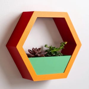 May include: A hexagonal wall shelf with a red and orange frame and a green planter. The shelf is mounted on a white wall and has a small succulent plant growing in the planter.