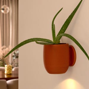 May include: A terracotta-colored wall-mounted planter shaped like a mug, holding a green aloe vera plant. The planter has a textured surface and a handle. The aloe vera plant has long, pointed leaves with white spots. A warm light shines below the planter.