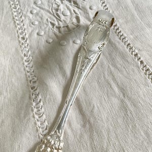 Vintage Silver-Plated Sugar Tongs// French Silverware// Large Antique Sugar Serving Tongs with Lions Claw Pincers