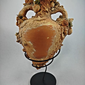 May include: A terracotta amphora vase with a rough, textured surface, decorated with seashells and moss. The vase is displayed on a black metal stand.