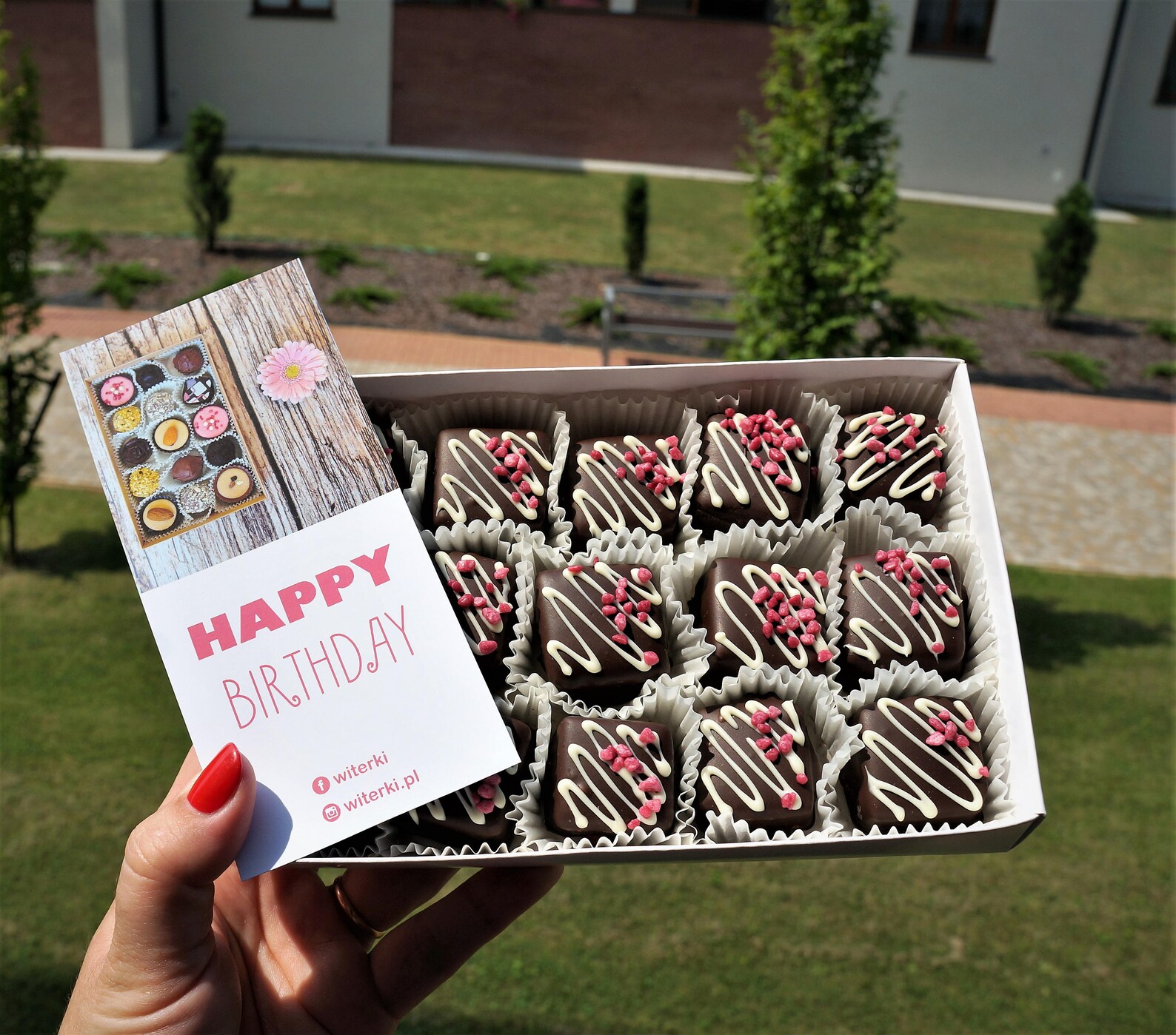 Chocolate Covered Strawberry Jelly Candy 16piece box 300 g Etsy