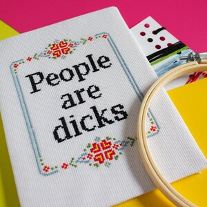 Rude Cross Stitch Pattern PDF, Modern Needlepoint, DIY Sarcastic Wall Art, Mature image 5