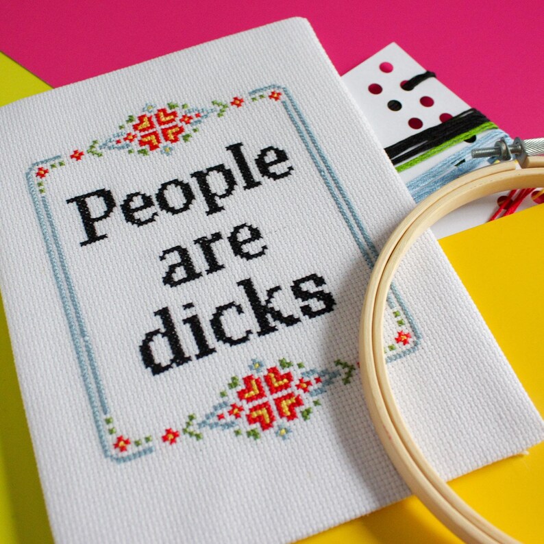 Rude Cross Stitch Pattern PDF, Modern Needlepoint, DIY Sarcastic Wall Art, Mature image 5