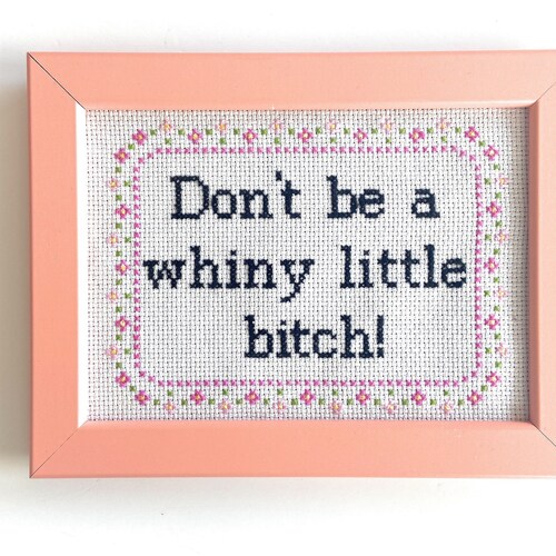 Snarky Cross Stitch Pattern PDF- DIY Gift For Friend- Mature