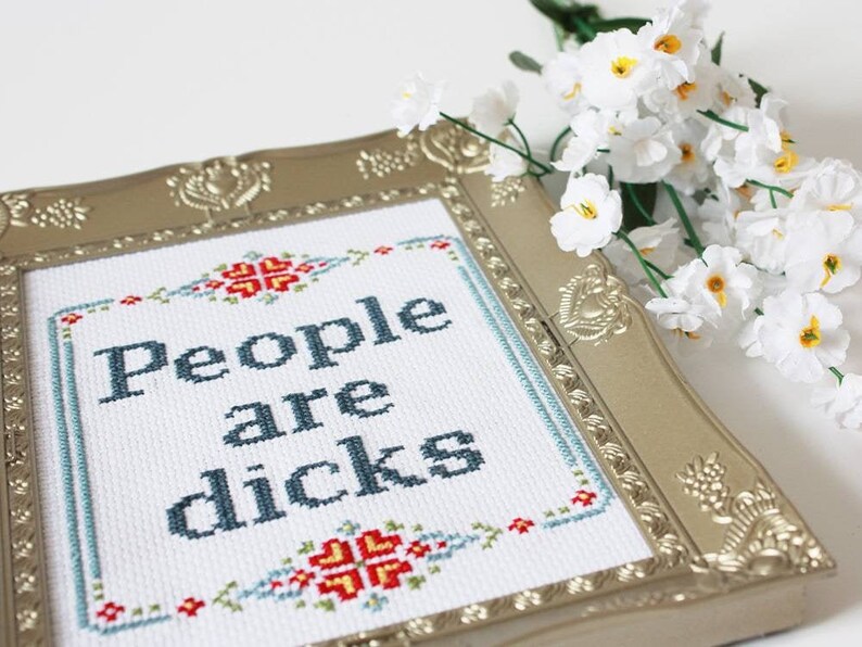 Rude Cross Stitch Kit Beginner Craft Kit for Adults Make Etsy UK