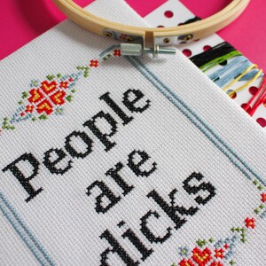 Rude Cross Stitch Pattern PDF, Modern Needlepoint, DIY Sarcastic Wall Art, Mature image 3