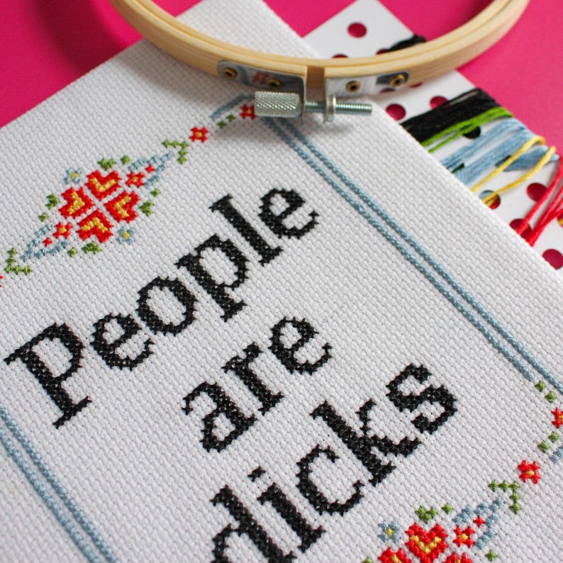 Rude Cross Stitch Pattern PDF, Modern Needlepoint, DIY Sarcastic Wall Art, Mature image 3