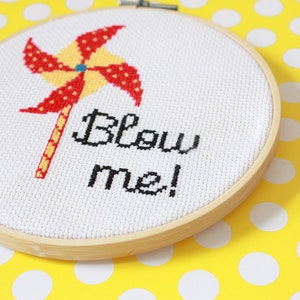 Snarky Cross Stitch Kit For Adults,  Naughty Gift For Her