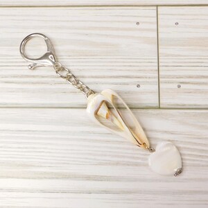 May include: A seashell keychain with a silver clasp and chain. The keychain features a natural, cream-colored shell and a small, heart-shaped charm. The shell has brown and tan accents.