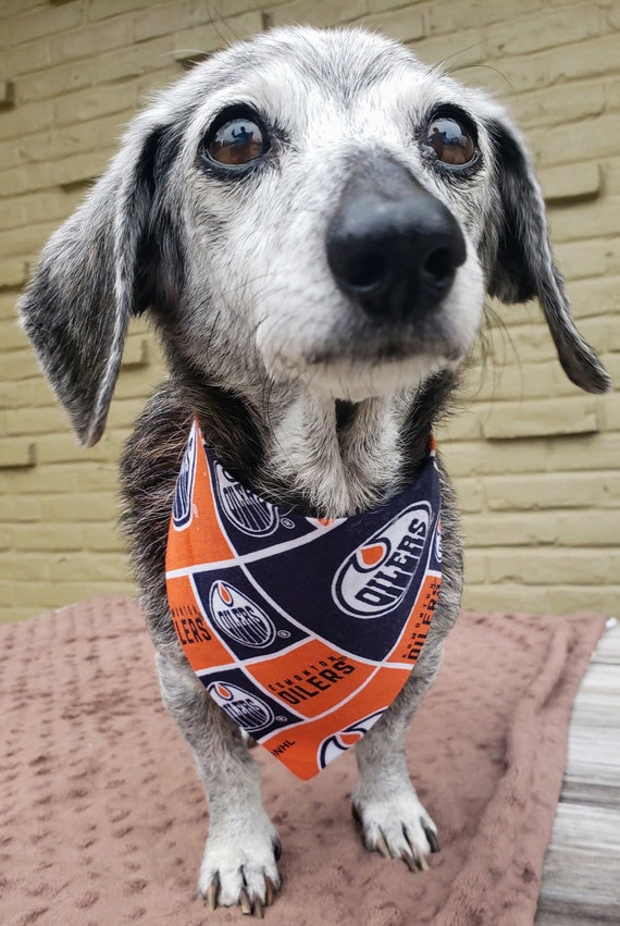 Edmonton Oilers NHL Dog Jacket