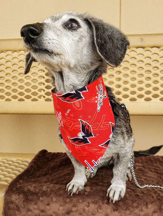 Washington Capitals Dog Tee Shirt