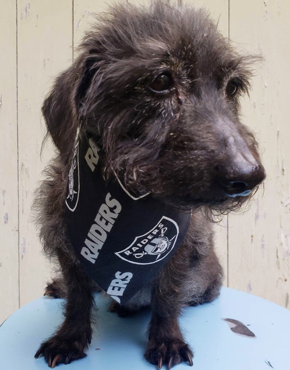 Handmade NFL Oakland / Las Vegas Raiders Dog / Puppy Bandana with Snaps  Size: S