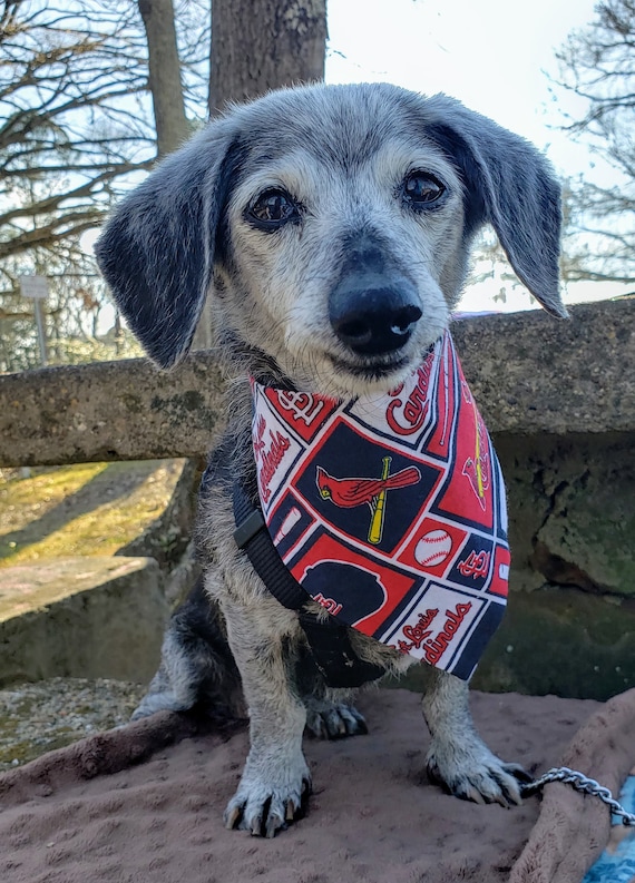 St. Louis Cardinal Baseball Dog Bandana