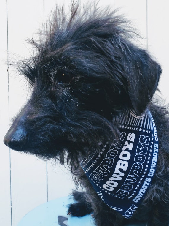 Pets First Las Vegas Raiders Reversible Dog Collar, Large
