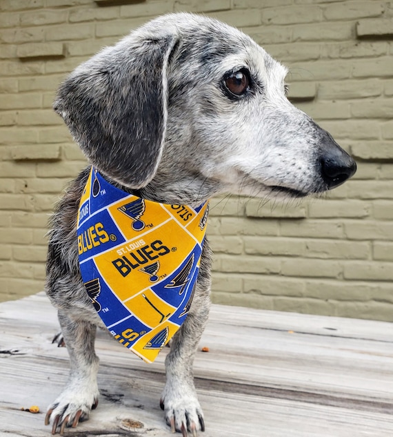 Stl Blues Dog Collar 