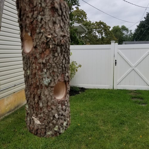 Rustic Suet Bird Feeder Wooden Suet Bird Feeders Outdoor Etsy